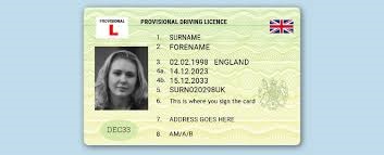 UK Driving Licence Journey